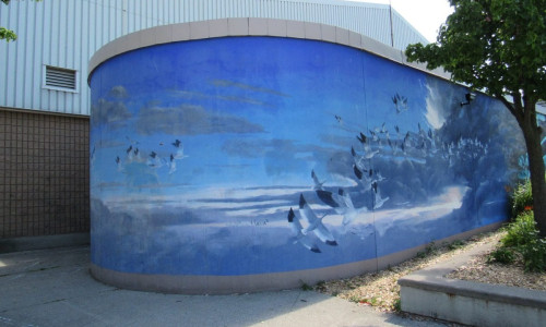 A mural on a curved wall depicting flocks of white birds (Canada snow geese) in flight.