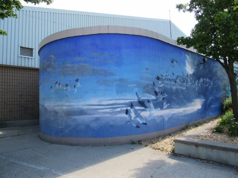 A mural on a curved wall depicting flocks of white birds (Canada snow geese) in flight.