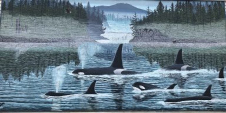 Orcas