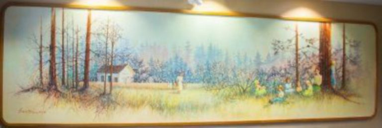 Meadow Memories