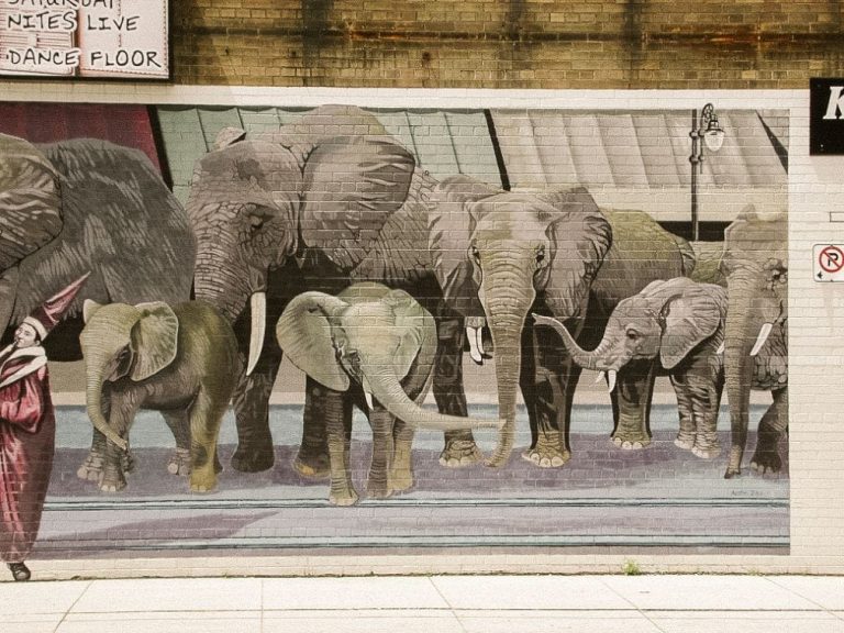 Elephant Parade