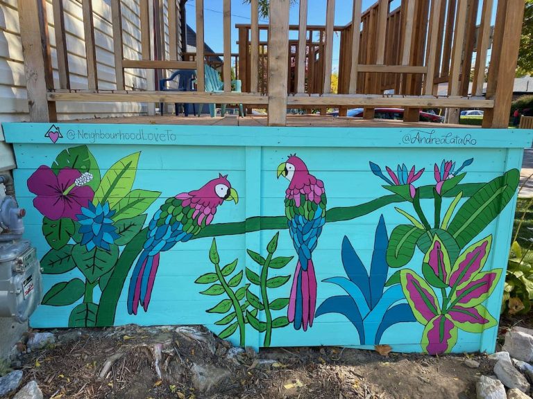 The Macaws