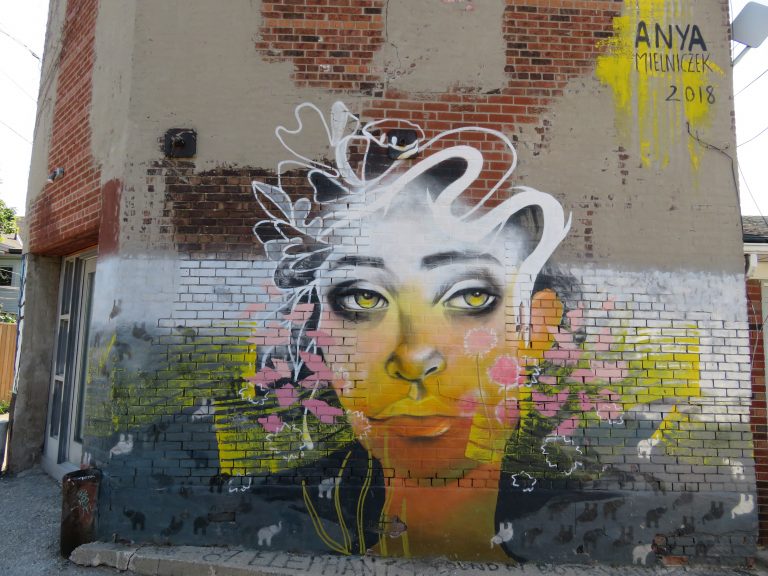 Laneway Light-Up Project – Mural by Anya Mielniczek