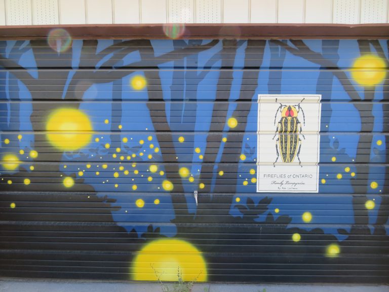 Laneway Light-Up Project – Mural by Pam Lostracco