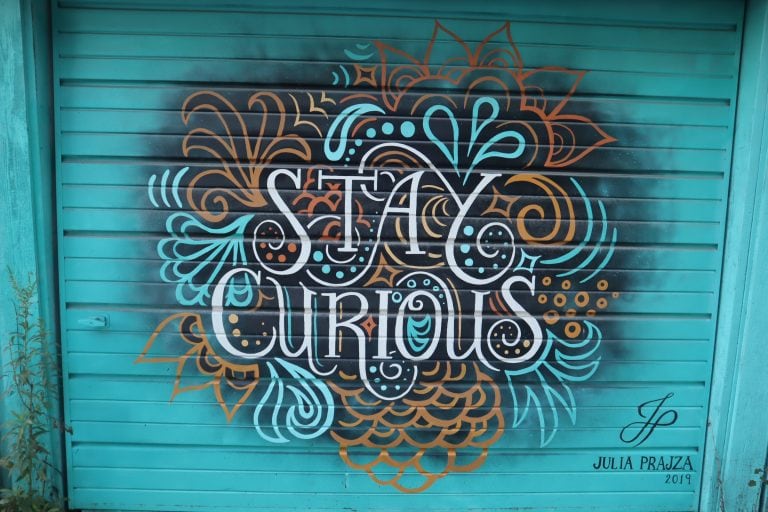 Euclid/ Palmerston Laneway “Stay Curious” Mural by Julia Prajza