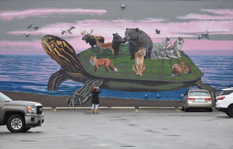 Turtle Island