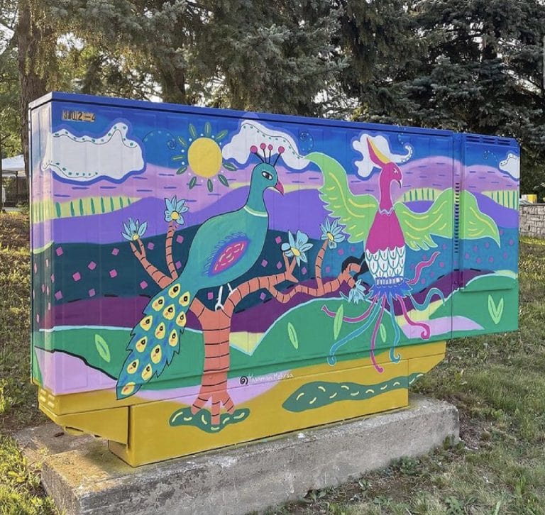 Asian Pheonix & Indian Peafowl