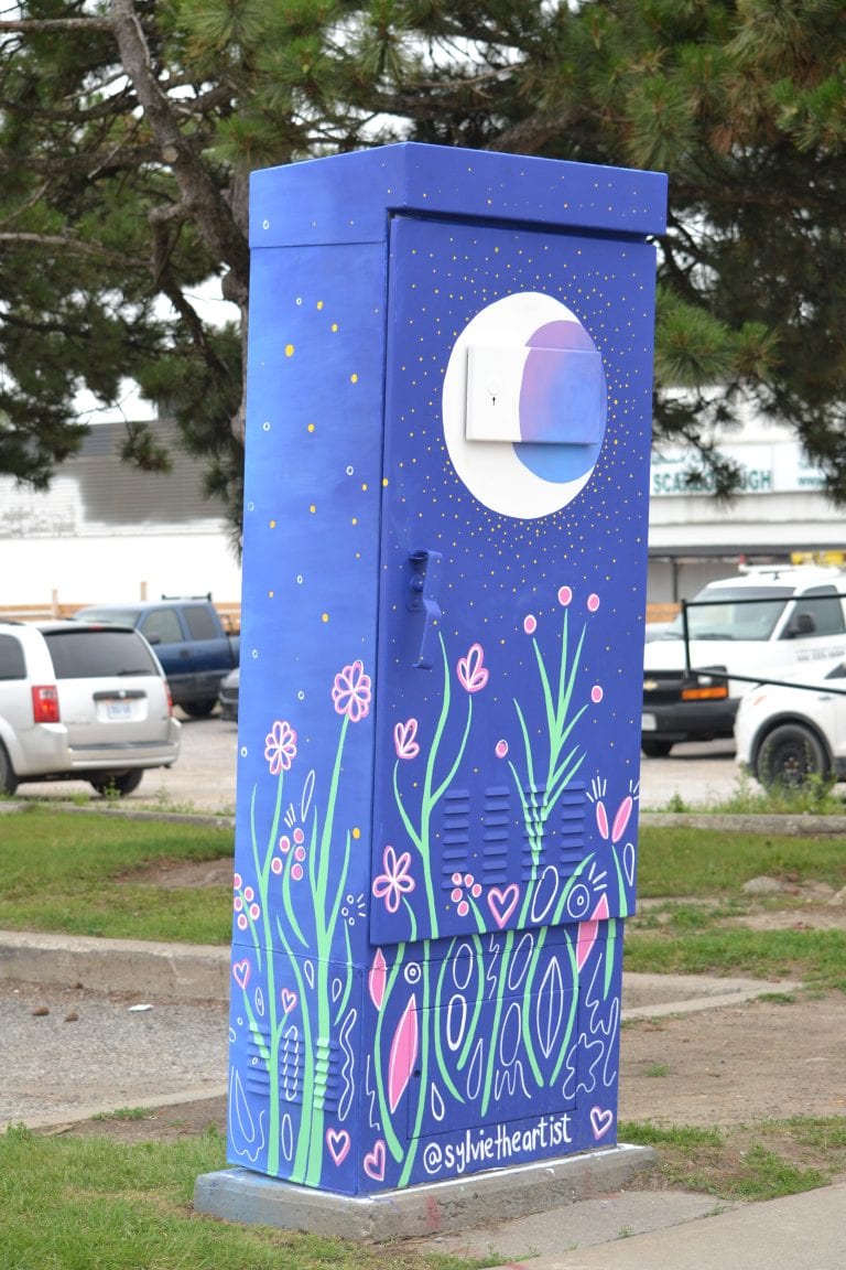 Wildflower Garden During the Day and at Night