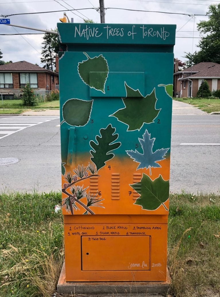 The front of the Native Trees of Toronto signal box mural.