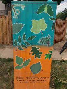 The rear view of Native Trees of Toronto signal box mural.