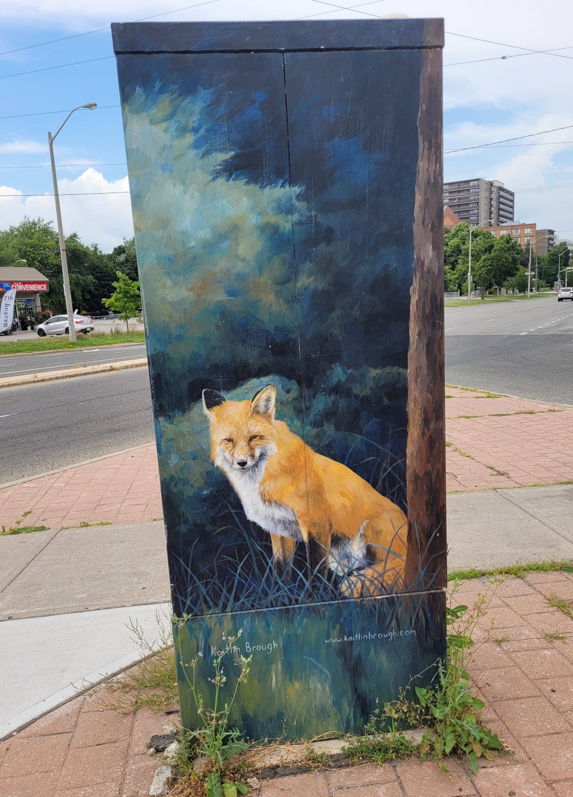 Back side of the Markham and Kingston road signal box.