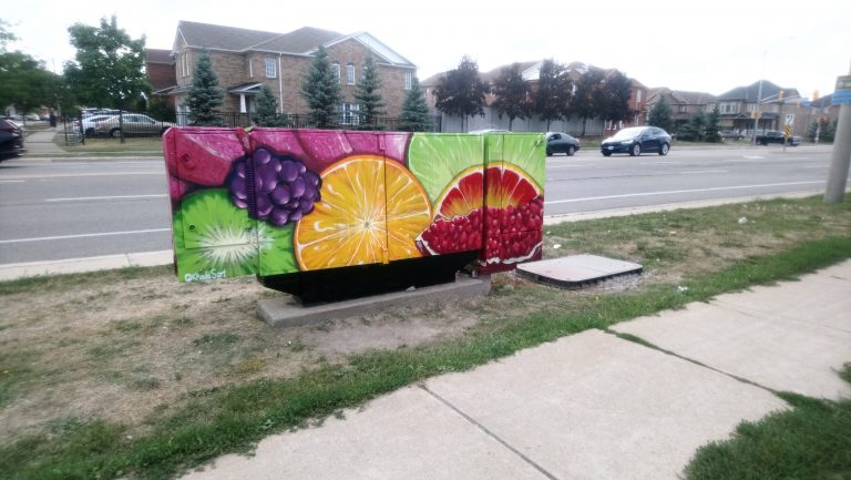 “Don’t Plant Anything But Love”-Rumi