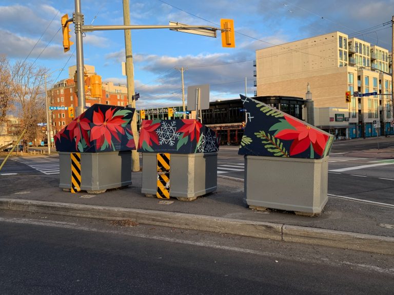 Vanier BIA Winter Boxes