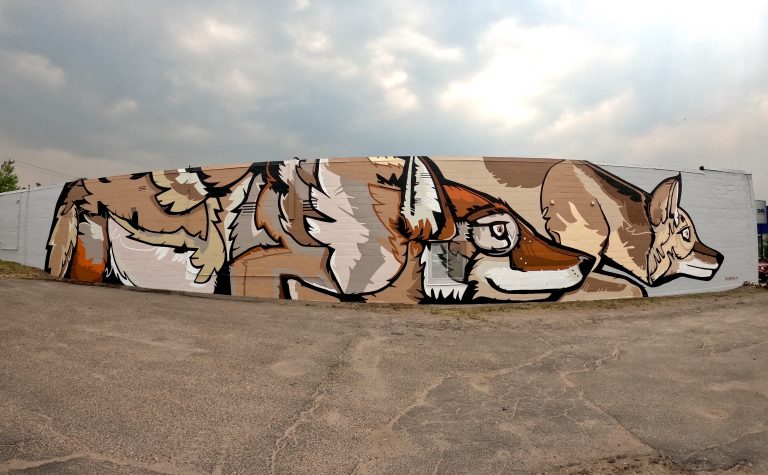 2 crouched coyotes on a long wall