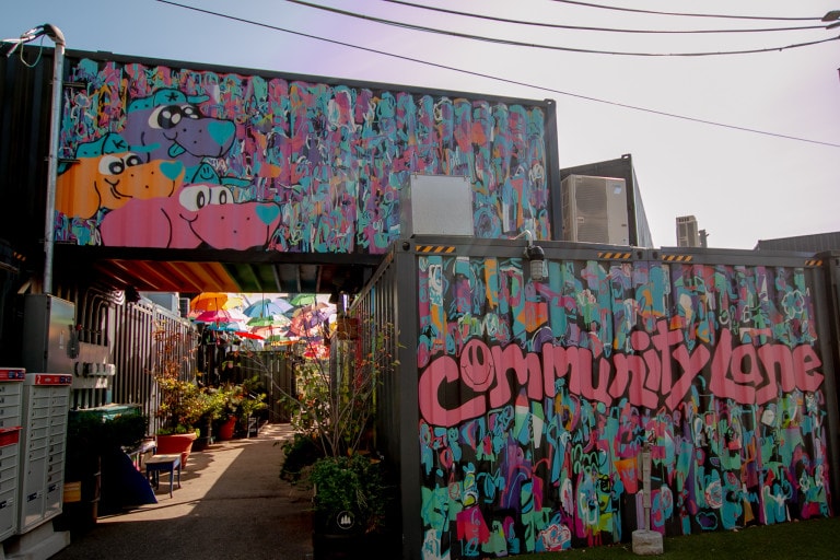 Photo of a collaborative mural on two shipping containers sacked on top of each other, with the bottom providing an entry way to another area. Both containers have an abstract background signature of Mony Zakhour, in blues, pinks and greens, and squiggly designs. The top container has three dog characters wearing caps by Billy Franklin, in purple, orange and pink. The bottom container is written “Community Lane” in pink, also by Billy Franklin, with the “O” in “community” drawn as a smiley face.