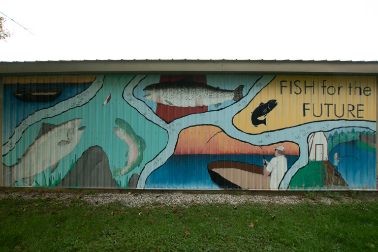 Photo of a mural on corrugation of a river at birds eye view. Around the river pattern are images of fish and fishing and the text “FISH for the FUTURE” at the top right with a dark fish icon.