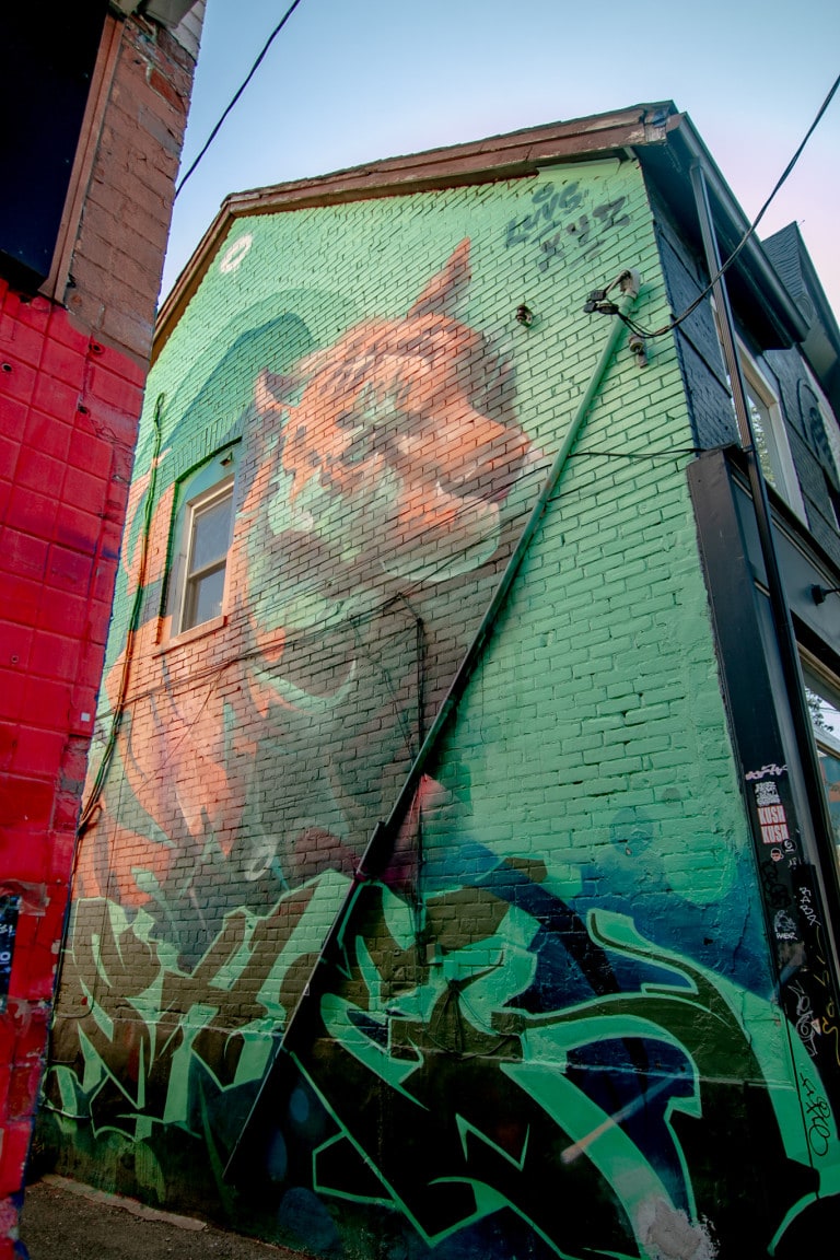 Large tiger mural on side of building with green background and abstract motifs