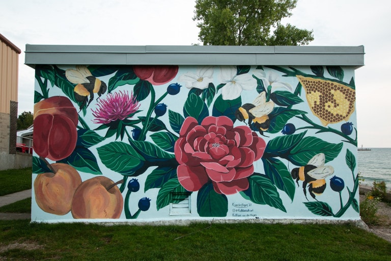 Image of an outdoor mural on a rectangular structure featuring flowers, fruits and bees on a white background. Main subject at centre is a red rose with dark green leaves around it.