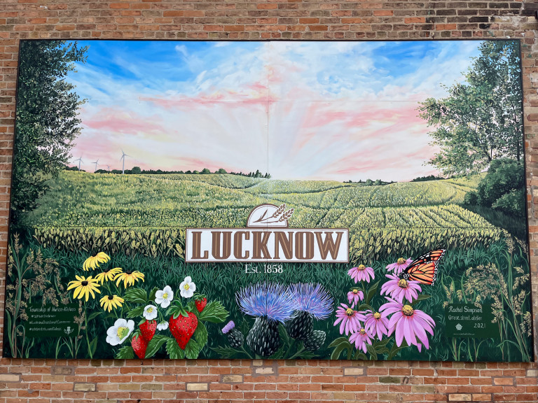 Photo of mural on panel attached to brick wall. Painting features a grassy field with flowers, strawberries and a monarch butterfly at the forefront in the style of realism. At the centre is “ Lucknow est. 1858” in typography with a wheat symbol at the top.