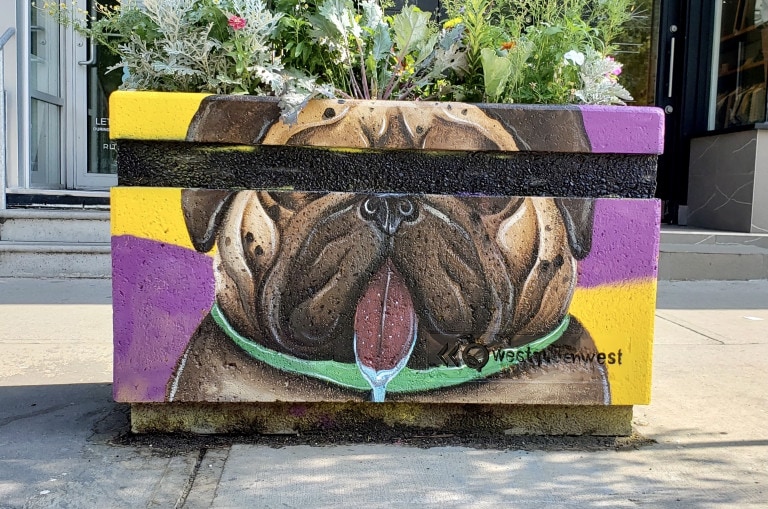 Drooling Dog & Toothy Cat