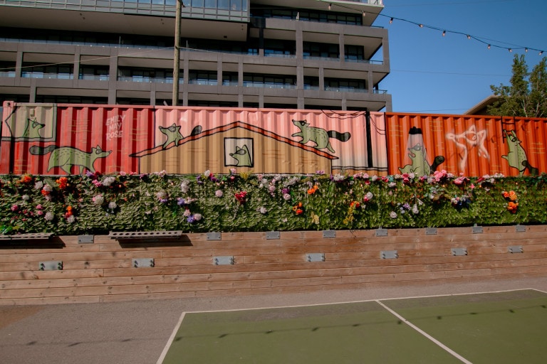 Photo of a large mural on corrugation at the end of a basketball/tennis court. Mural features artist’s signature raccoons up to shenanigans in the city, in pink background. One raccoon peeps out a window, another walks on the roof of a house, and another climbs up a ladder. A raccoon “graffiti” is seen on one of the illustrated buildings.