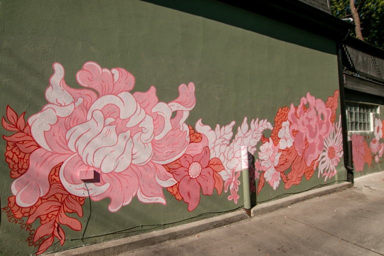 Mural of flowers in various shades of pink on a green background