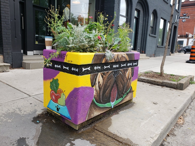 Planter mural of a drooling pug with a yellow and purple polka dotted background. Planter rim is lined with dog bones and fish bones as the other side features a cat.