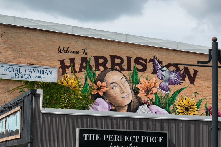 Photo of a mural on the side of the building above a store. Writing says “Welcome to Harriston” and features a girl looking upwards at a bird with flowers blooming behind her.