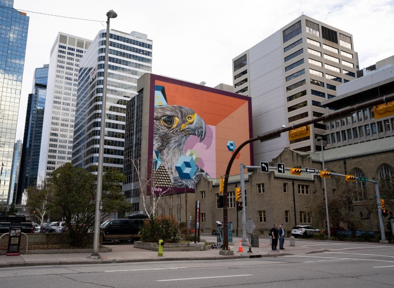 Portrait of a peregrine falcon in what appears to be a cube and with abstract geometric shapes on top.