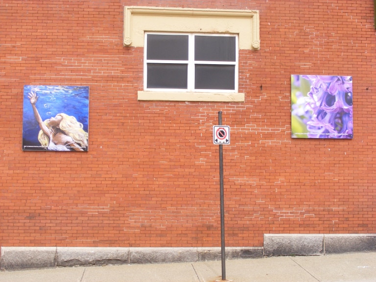 Two canvases are displayed on a red brick wall. One is a photograph of a purple flower and one is a painting of a woman underwater. The woman is reaching forward and looking upwards. Bubbles are coming from her open mouth.