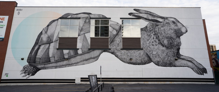 Fusion of hare and tortoise. Left to right, tortoise is on first half and hare is right half.