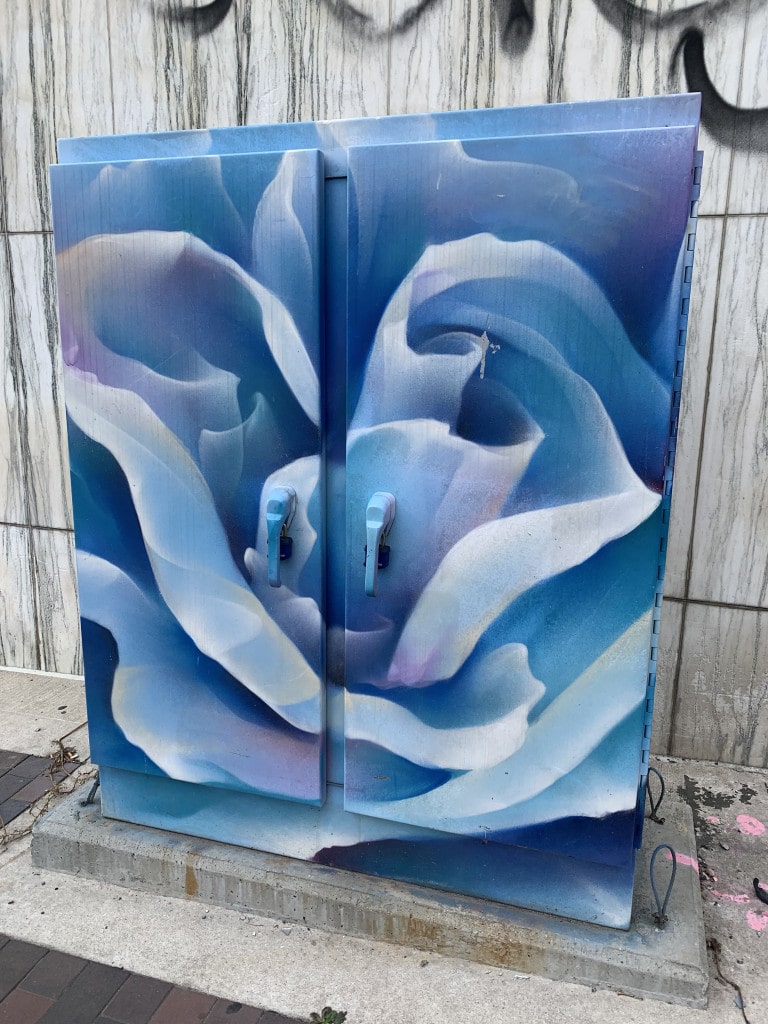 Photo of a traffic box mural of a rose in the signature abstract style of Vizsla Bacon in indigo blue tones.