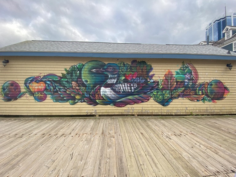 A loon is painted on the side of a building. They are surrounded by leaves, pine cones, and the Mi'kmaw name for Halifax: Kjipuktuk