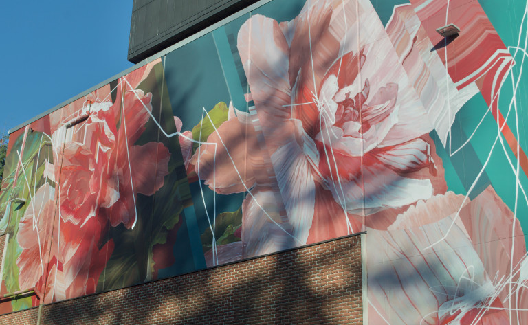Colourful pink flowers on a teal background over a large wall