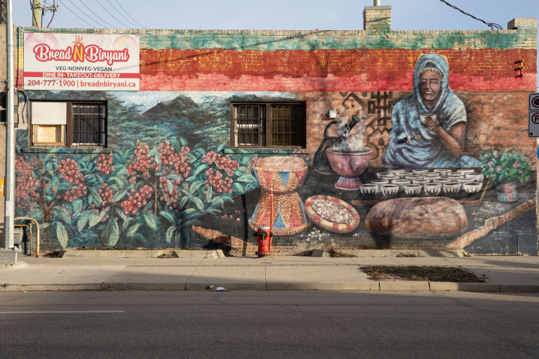 On the left, is a field of coffee plants. To the right, a woman sits with a smile holding a cup of coffee. In front of her are many other cups, and everything needed to make the perfect cup of coffee.