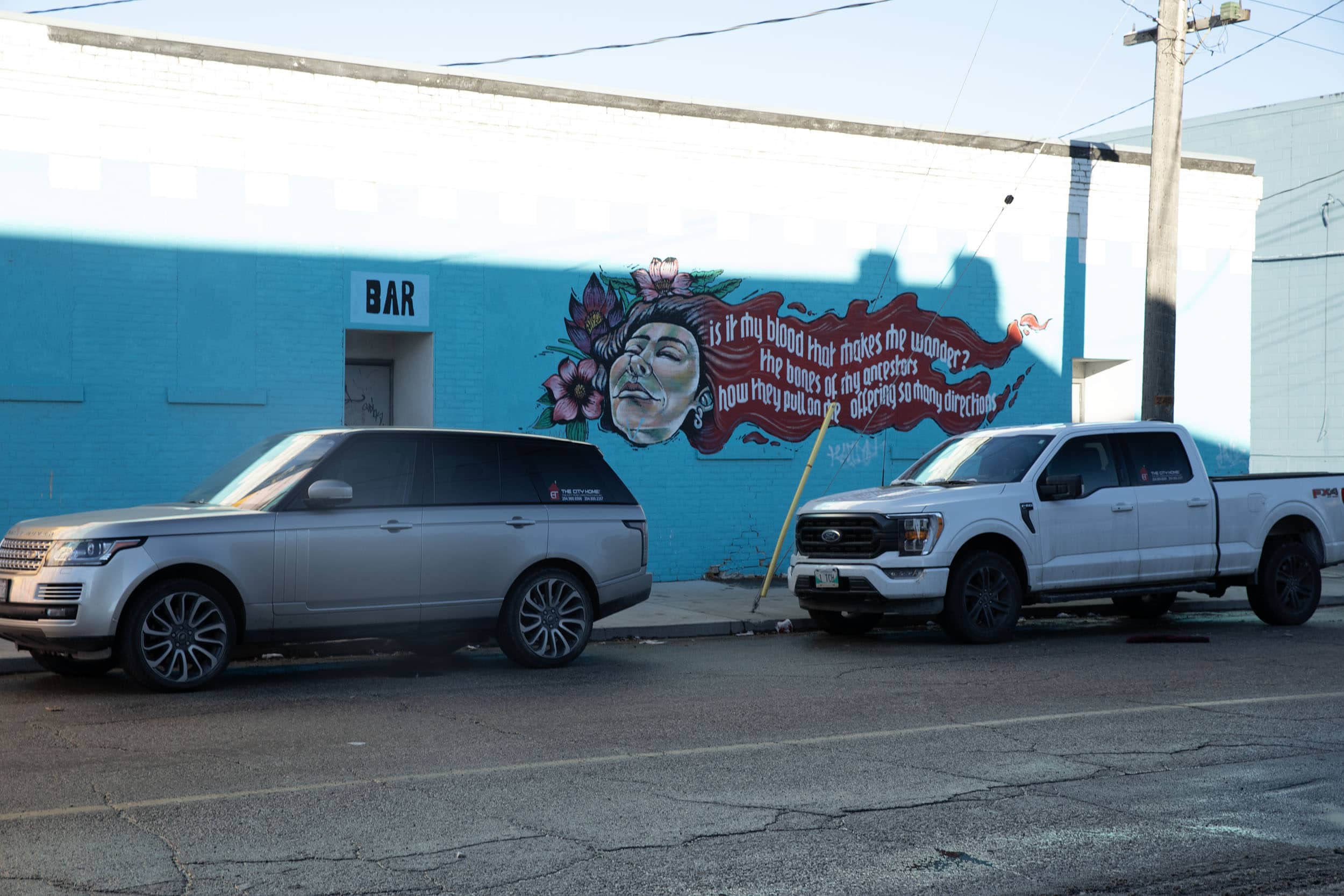 On a blue background, a womans face is seen looking up with her eyes closed. There are flowers around her, and her hair drags behind her and turns into blood. On the blood, the text of a poem by Jonina Kirton.