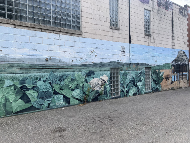 Angled photo of a large scale mural on the side of a building featuring a tobacco farmer smoking a cigar while in a tobacco field lush with leaves. The farmer appears to be in a tropical country as there is a hut on the side, presumably Cuba as he is smoking a cigar. The field stretches across the building.