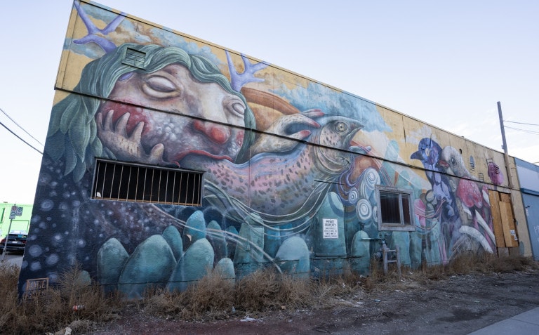 From left to right. Fish coming out of mouth of a fantasy creature that has antlers. Abstract birds on right side facing the fish.