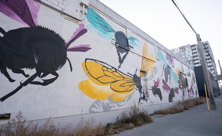Different types of bees flying around with colourful wings.