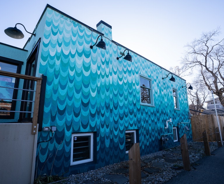 Shades of blue of ripples downwards.