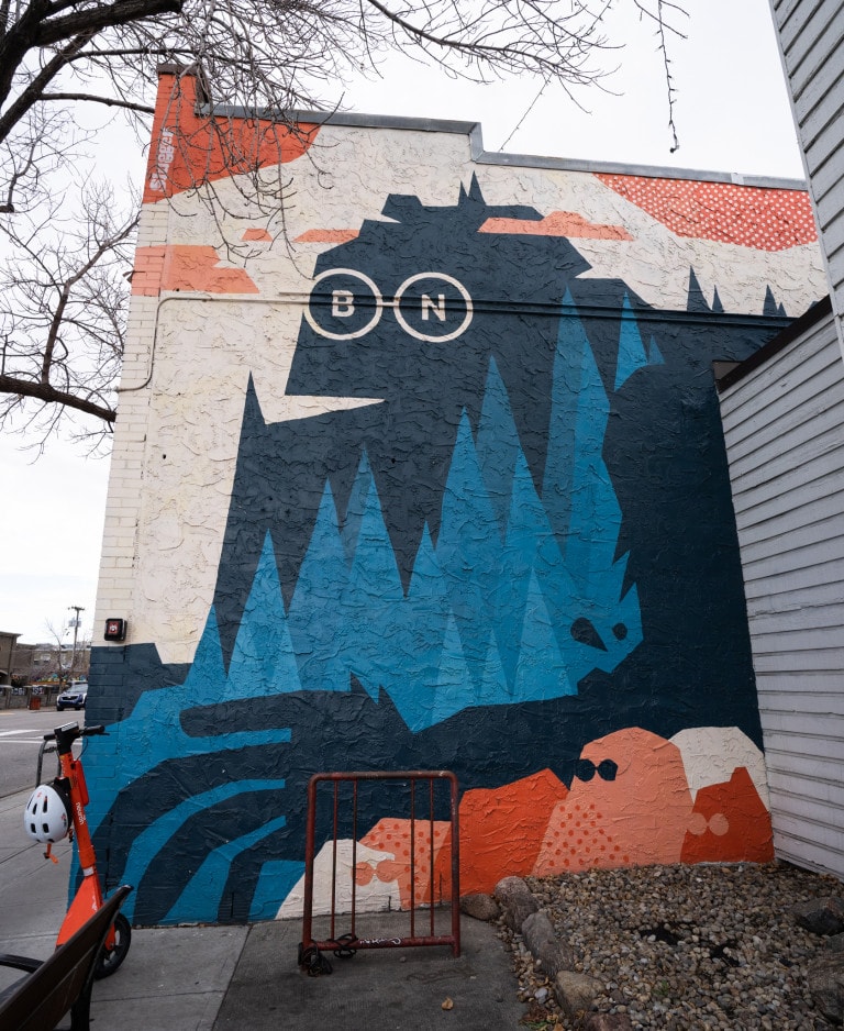 Vectorized mountain and figure that looks like logo is its glasses.