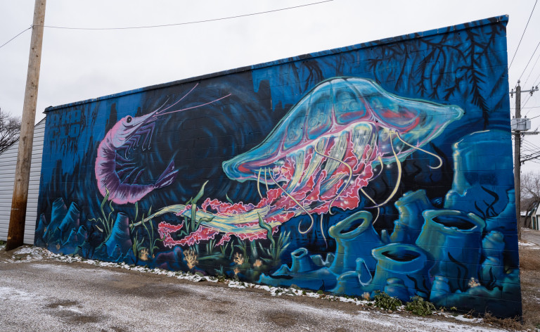Water scene with jellyfish on right side flowing through the water, big shrimp on left side. Black hole of water current behind the shrimp.