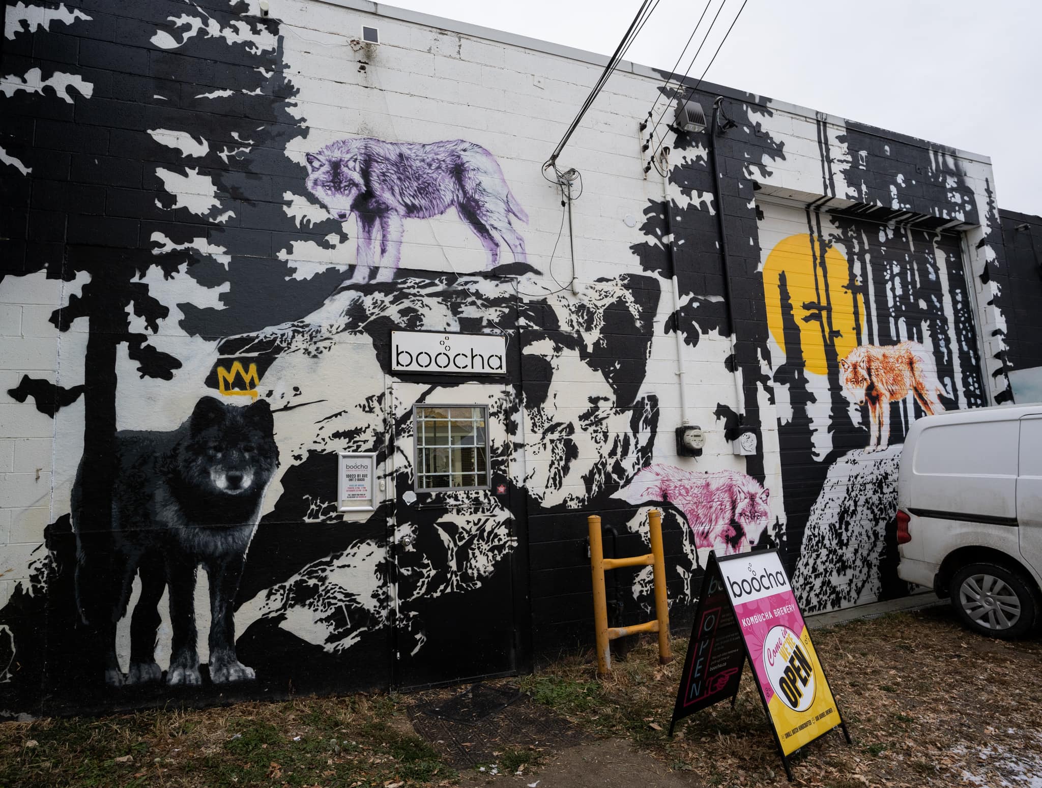 Wolves on black silohuette rocky terrain with forest in background.