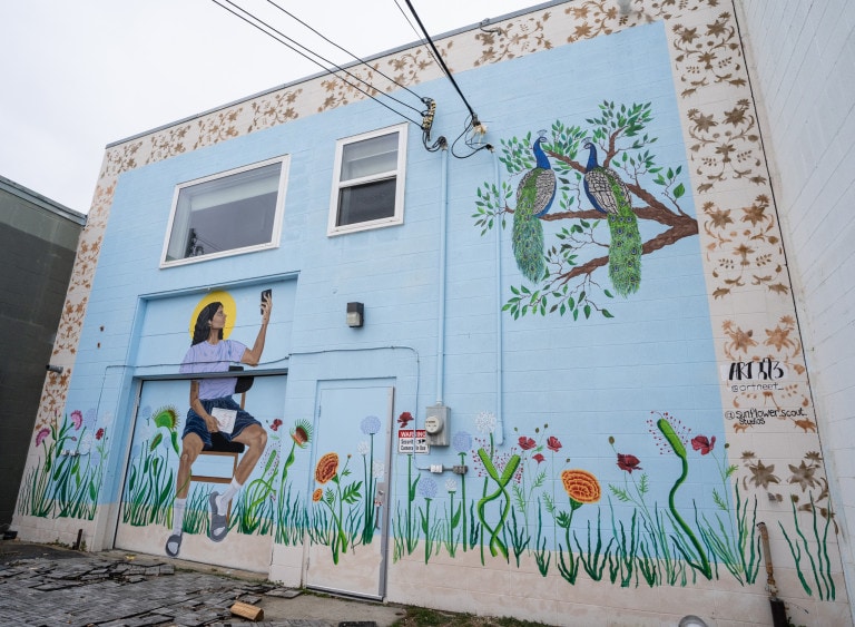 Left to right. Girl holding phone in one hand and book in another sitting in a chair. Girl takes photo of peacocks on a tree, on right side. Floral motif surrounds scene.