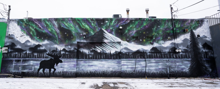 Silhouette of moose walking along grass in night. Body of water behind moose along with line of trees. Icy/snow covered mountain in center of mural. Northern Lights across the sky. Tree on right side.