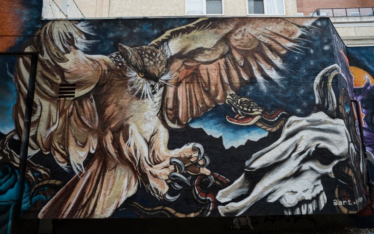 From left to right. Owl attacking snake with skull of animal at bottom of snake. Silohuette of mountains in background and spacey sky.
