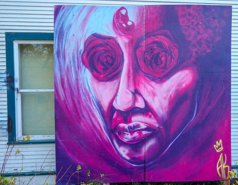 A surreal face in puple and pink hues with large flowers (possibly roses) for eyes