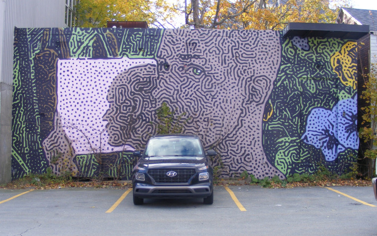 A face comprised of squiggles and swirls looks over their shoulder, a mirror in their hand. Cattails and pansy flowers, also comprised of squiggles, are positioned behind the figure.