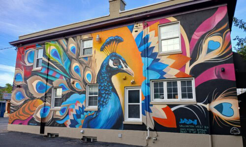 Colourful mural or a peacock on the side of a 2 story building