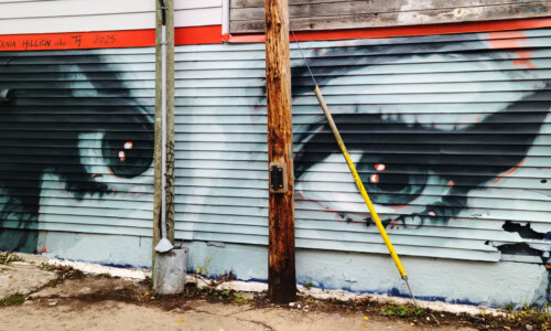 Mural-Amy-Winehouse-Montreal-Tania-Hillion